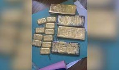 डीआरआई ने 15.21 करोड़ रुपये कीमत का 25 किलो तस्करी का सोना और 56.3 लाख की नकदी की बरामद