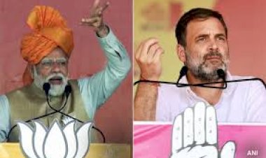 भारत में हो रहा लोकसभा चुनाव दुनिया का सबसे खर्चीला चुनाव बनने जा रहा : विशेषज्ञ का दावा