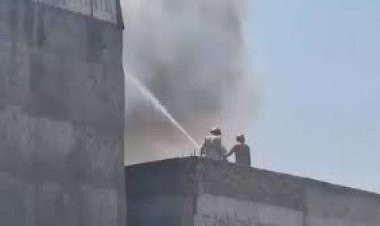 मुंडका औद्योगिक क्षेत्र की एक फैक्टरी में लगी भीषण आग, दमकल की 35 गाड़ियां काबू पाने में लगी